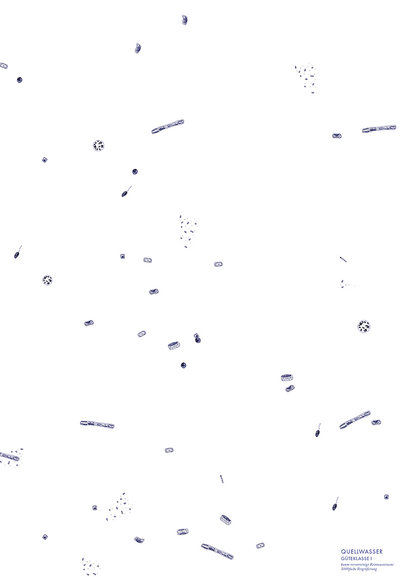 Klasse Hesse Prof. Klaus Hesse