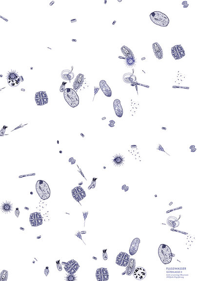 Klasse Hesse Prof. Klaus Hesse