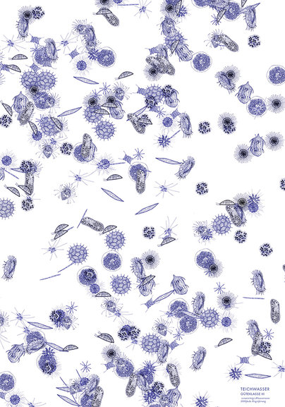 Klasse Hesse Prof. Klaus Hesse