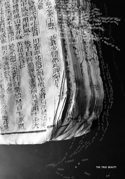 The True Beauty Nanjing University of the Arts Prof. Klaus Hesse