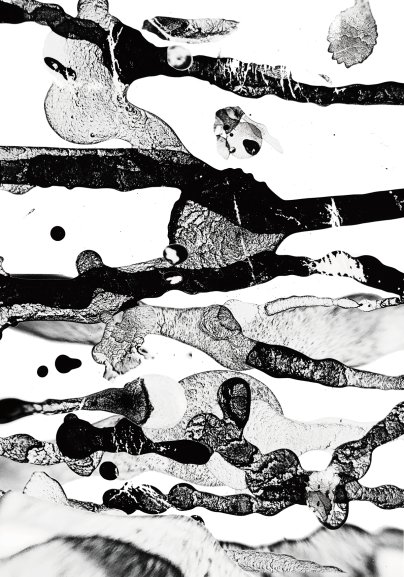 The True Beauty Nanjing University of the Arts Prof. Klaus Hesse