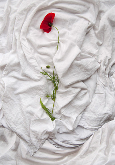 Work right Prof. Klaus Hesse